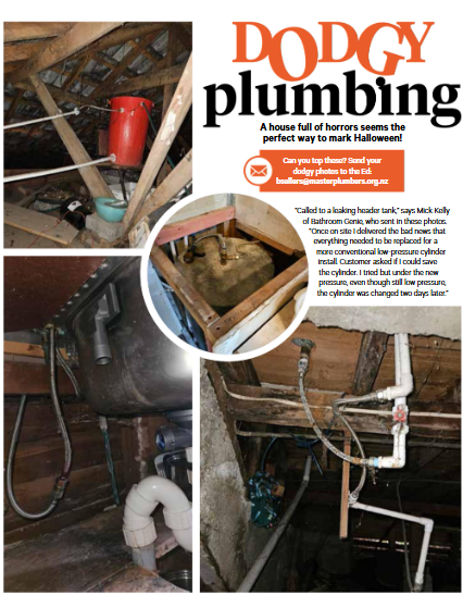 'Dodgy Plumbing' - A NZ Plumber magazine icon!